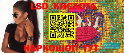 стафф Моздок