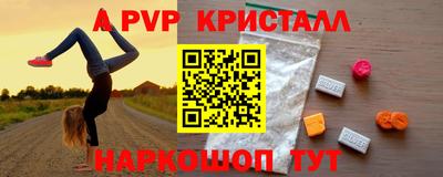 стафф Моздок