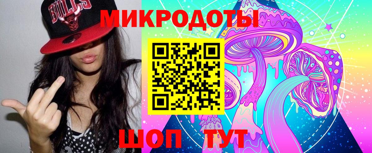Псилоцибиновые грибы Psilocybe Татарск