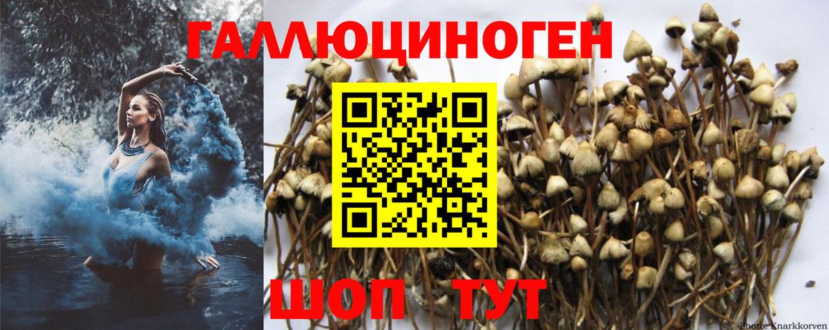 Галлюциногенные грибы Magic Shrooms  наркошоп  Татарск  Вход с VPN 
